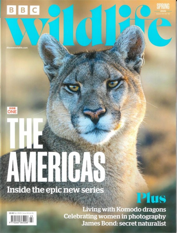 BBC Wildlife tarjous - Image 2