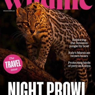 BBC Wildlife tarjous
