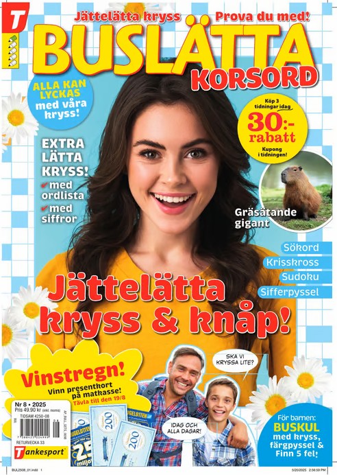 Buslätta Korsord tarjous - Image 2