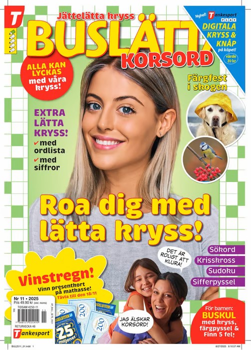 Buslätta Korsord tarjous