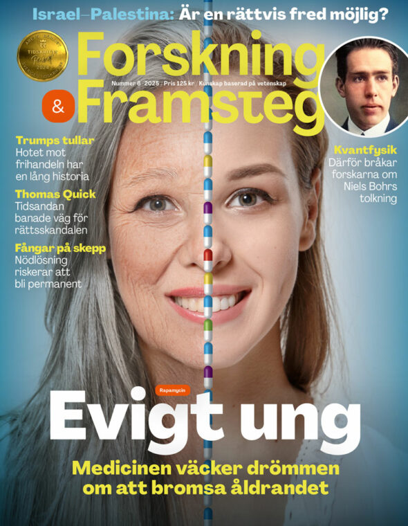 Forskning & Framsteg tarjous - Image 2