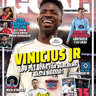 Goal tarjous