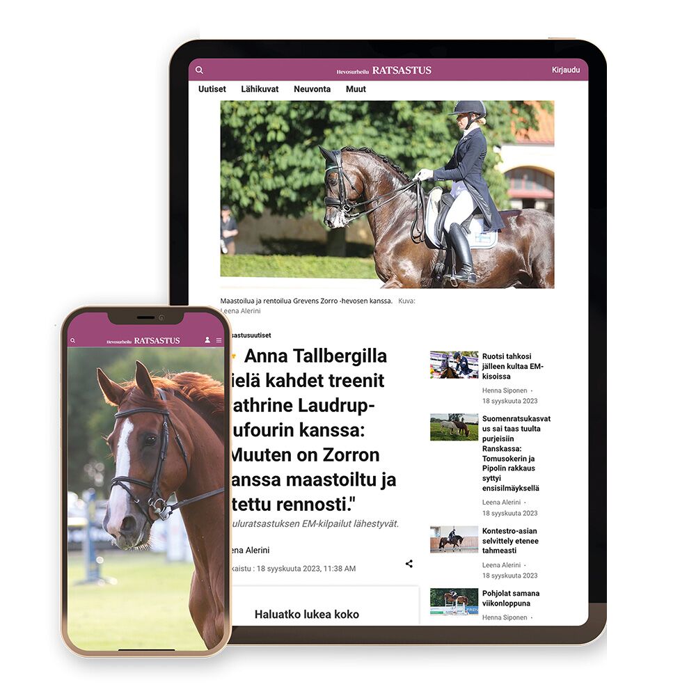 Hevosurheilu Ratsastus Digi tarjous - Image 3