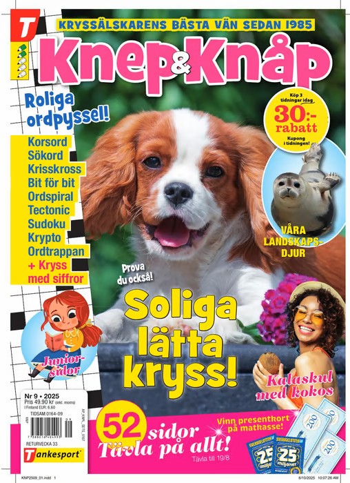 Knep & Knåp tarjous - Image 2