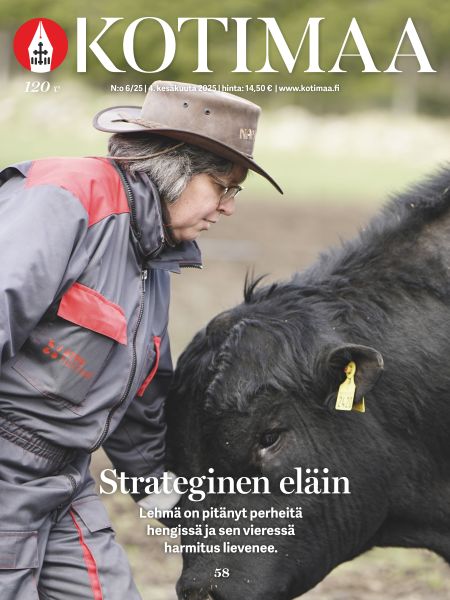 Kotimaa (Printti + Digi) tarjous - Image 4