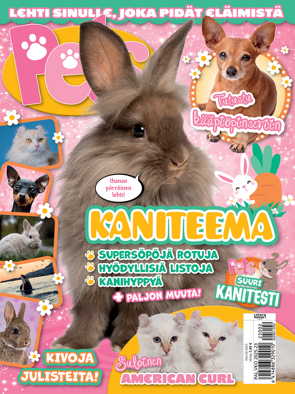 Pets SUOMI tarjous - Image 4