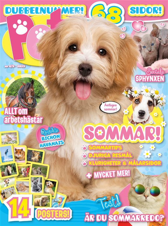 Pets tarjous - Image 3