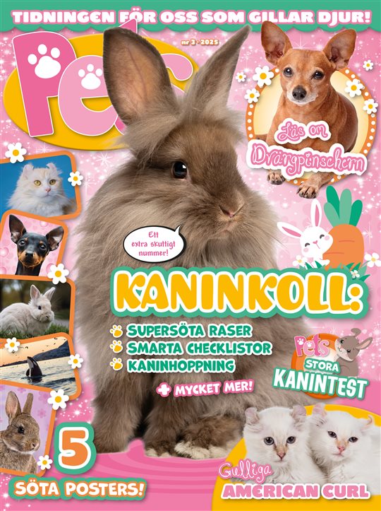 Pets tarjous - Image 4