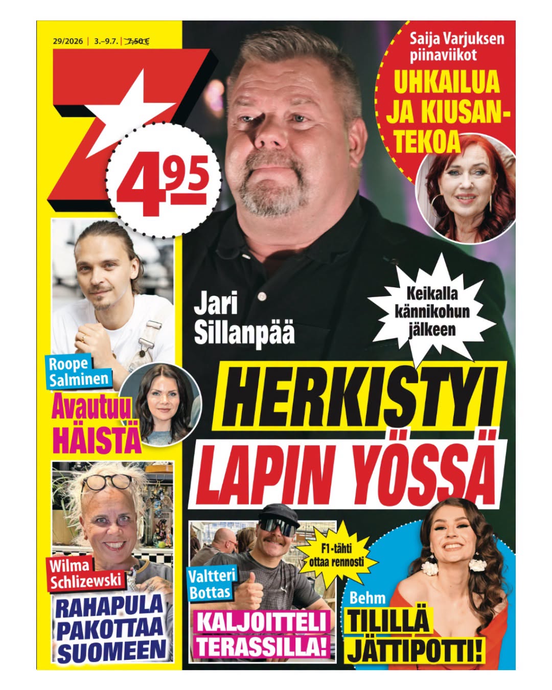 Seiska tarjous - Image 4