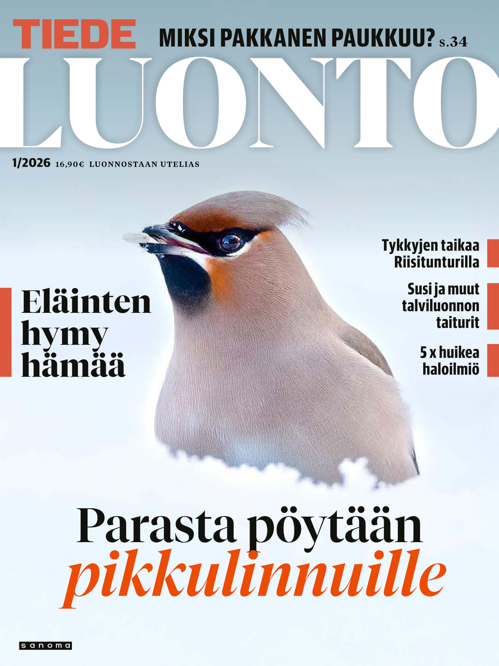 Tiede Luonto tarjous - Image 4