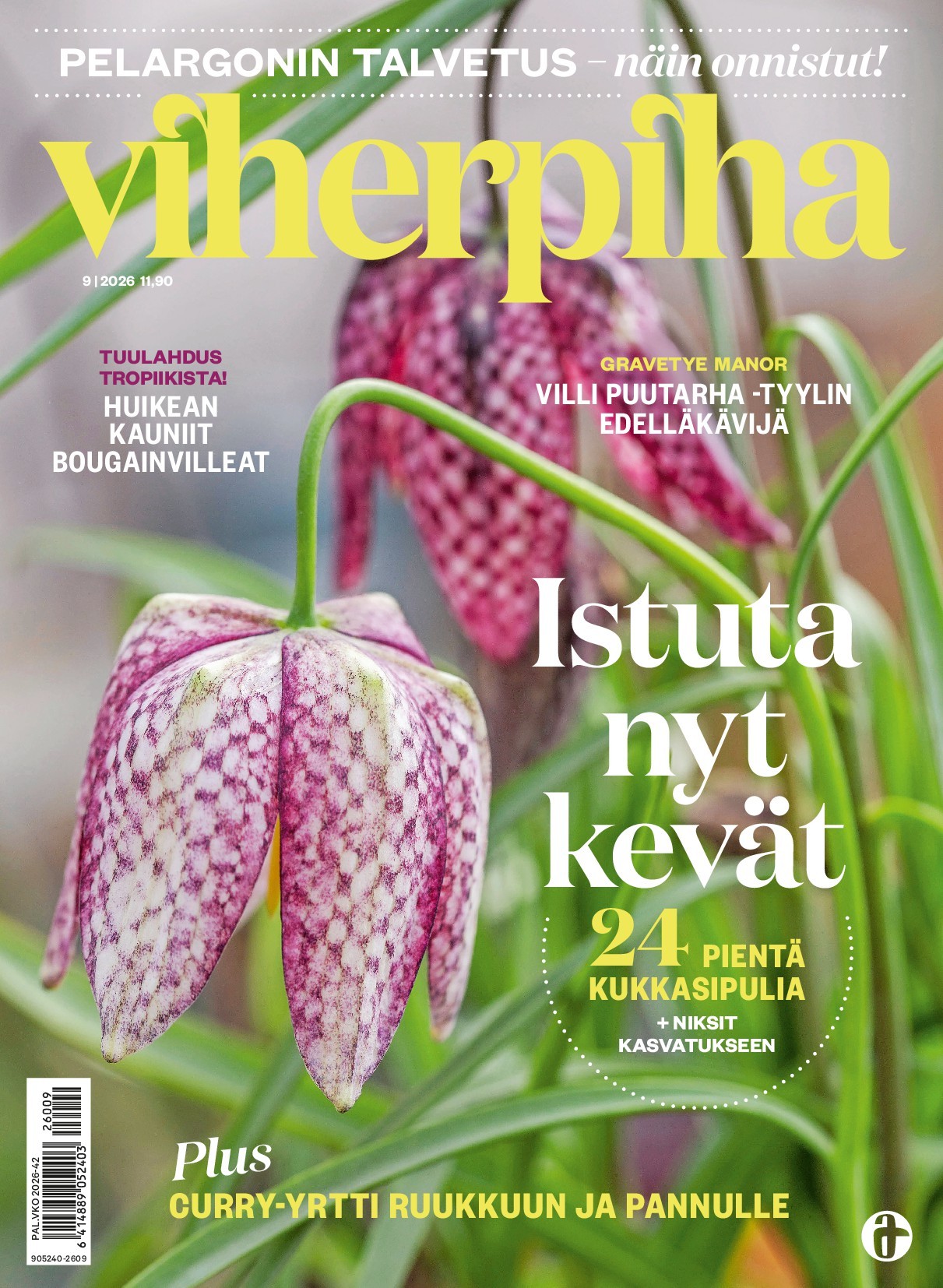 Viherpiha tarjous - Image 2
