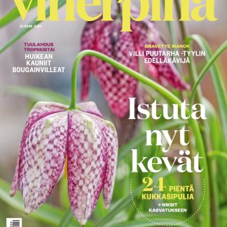 Viherpiha tarjous